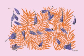 Juniper Album Cover