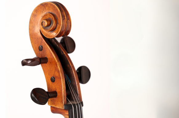 The Music Network National Instrument Collection